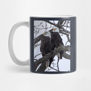 Bald eagles sitting on a branch Mug